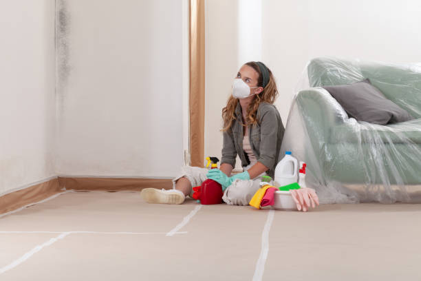 Reliable Basement Mold Remediation contractor in Richmond, IL by WQB Mold Removal